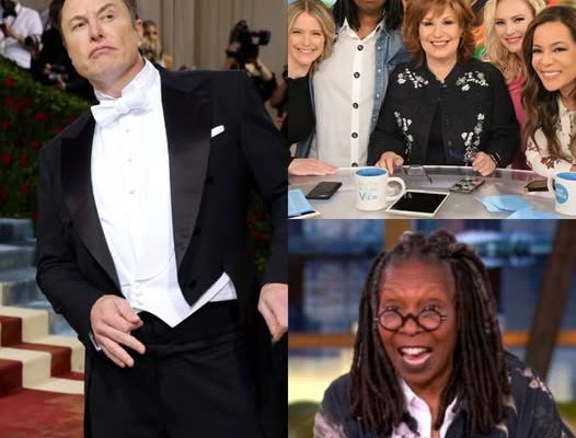 Elon Musk has called for a boycott of The View, calling it a “meeting place for stupid women.” The entire cast has since responded in outrage.